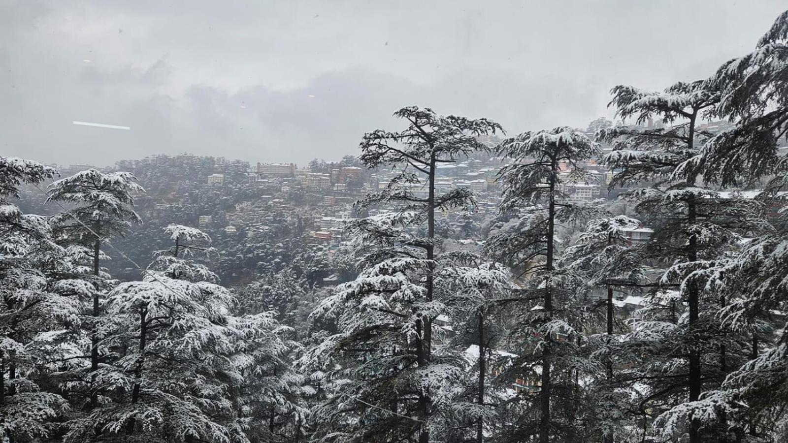 Mountain Zest- Simla Royale Near Mall Road Free Pickup From Railway Station Simla ภายนอก รูปภาพ